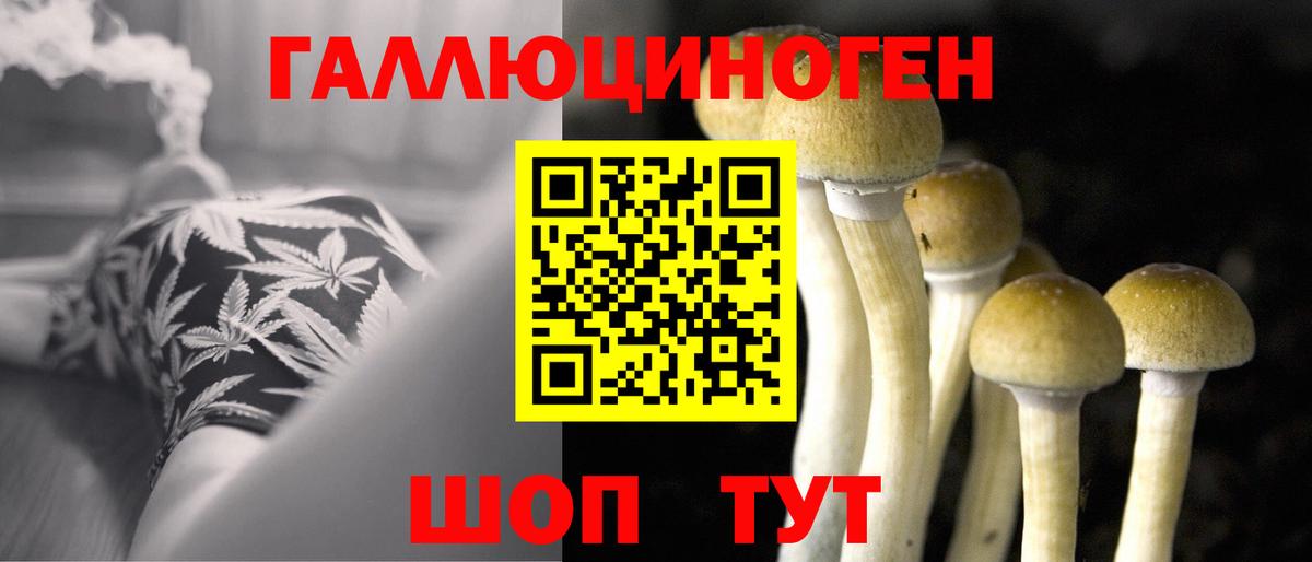 как найти закладки  Вход с VPN  Новотроицк  Галлюциногенные грибы Magic Shrooms  Галлюциногенные грибы Cubensis 