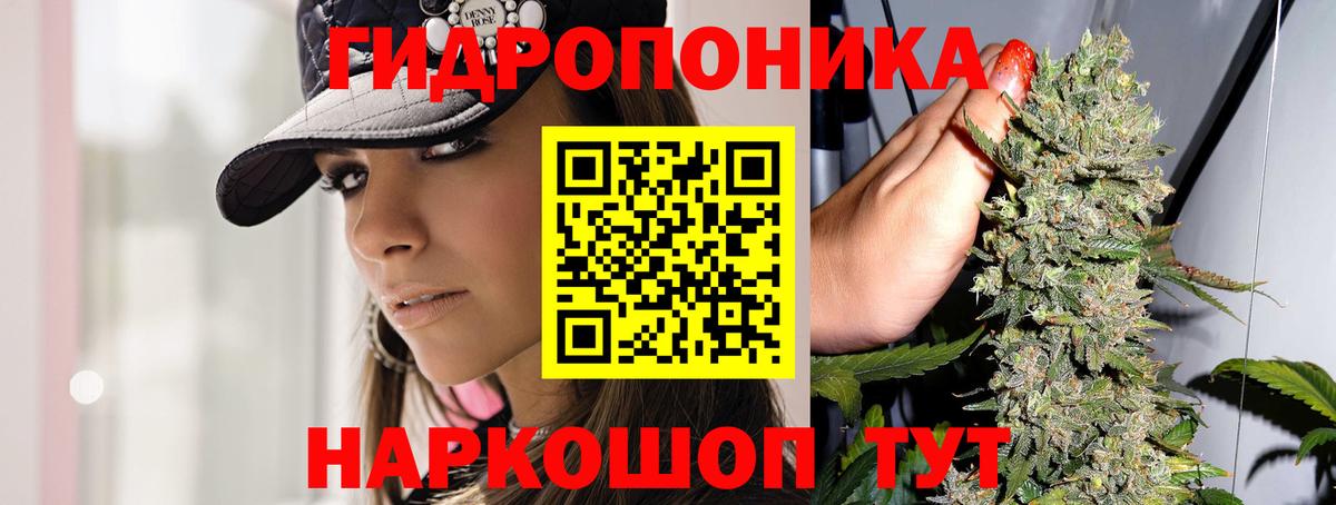 МАРИХУАНА план Новотроицк